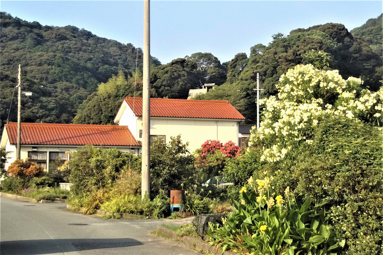 長門市青海島大日比地区の季節の花 せむら牡蠣